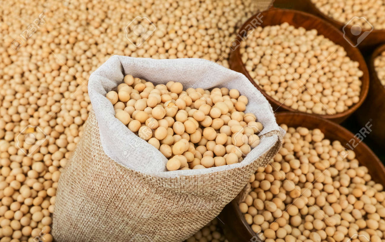 [WHOLESALE] Premium US Soybeans/ US Soya - 1 SACK/ 50KGS