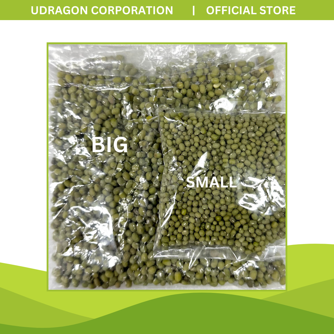 Unpolished Green Mung Beans Big/ Monggo Big - 250g, 500g, 1kg