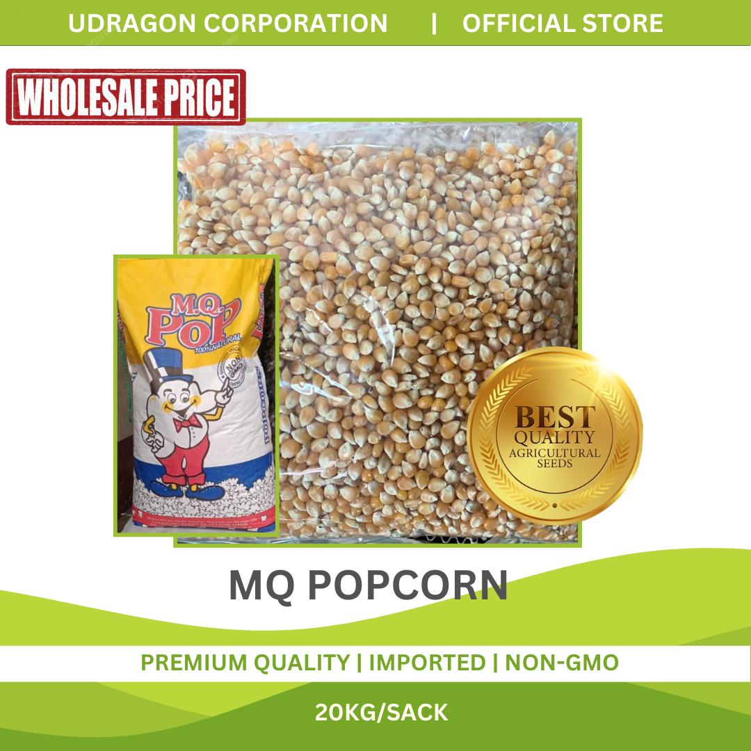 Imported MQ Popcorn - 20kg/bag