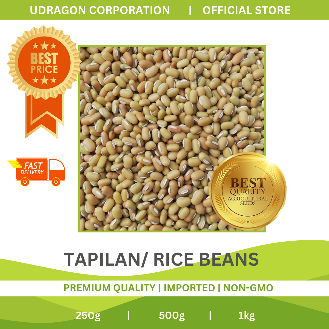 Premium Quality Tapilan/ Rice beans - 250g, 500g, 1kg