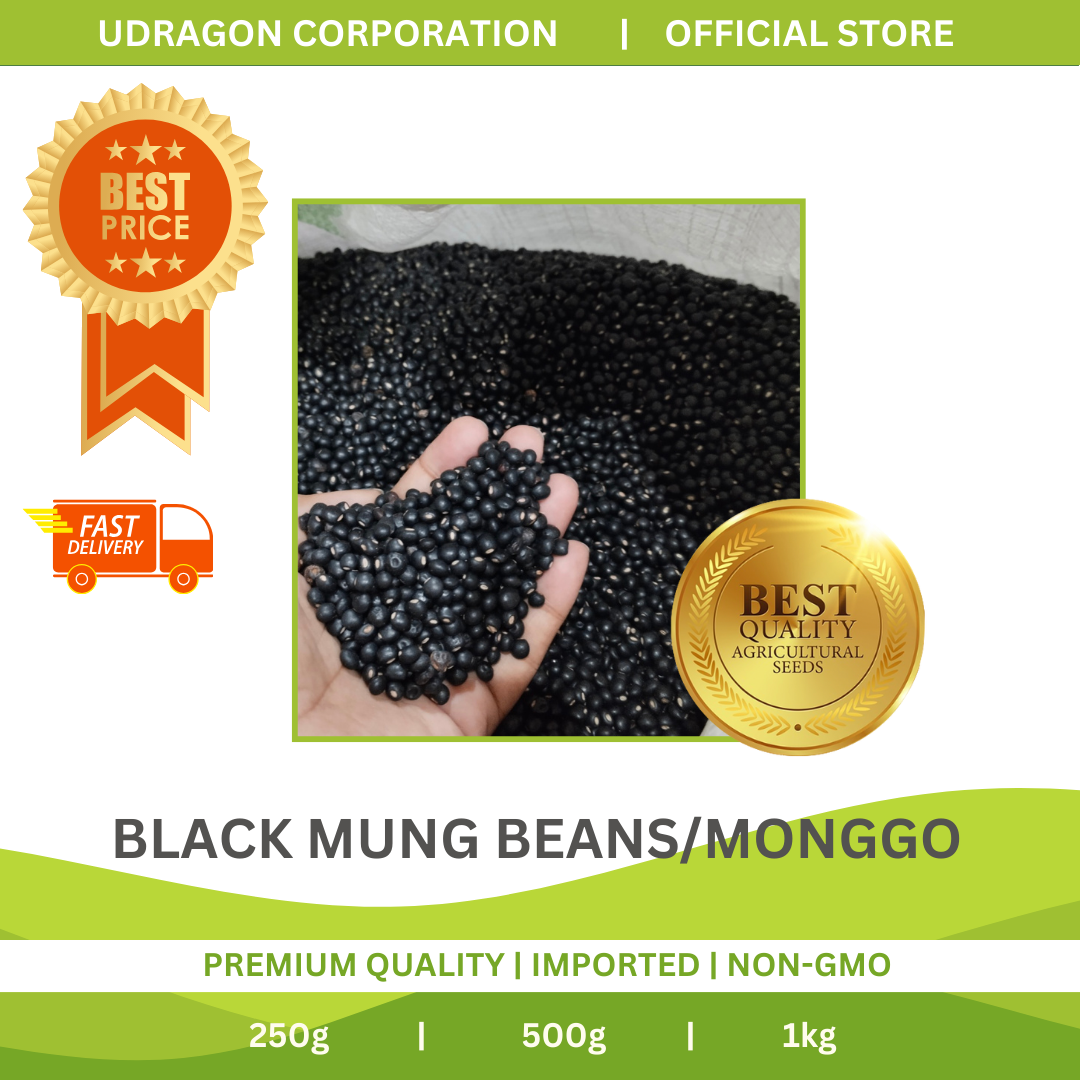 Premium Quality Black Mung Beans/ Monggo - 1kg