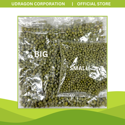 [WHOLESALE] Unpolished Green Mung Bean Big/ Monggo Big - 1 SACK/25KGS