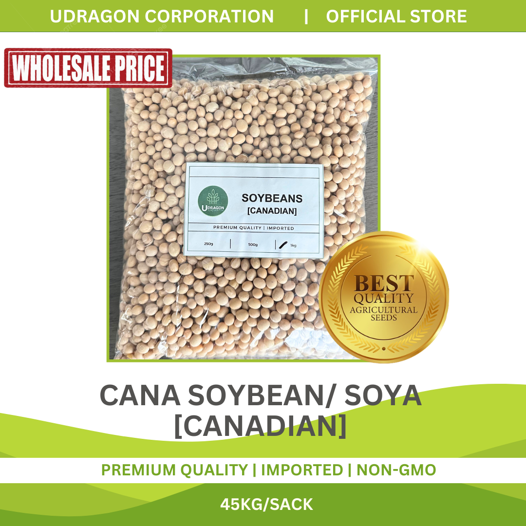 [WHOLESALE] Premium Canadian Soybeans/ Cana Soya - 1 SACK/ 45KGS