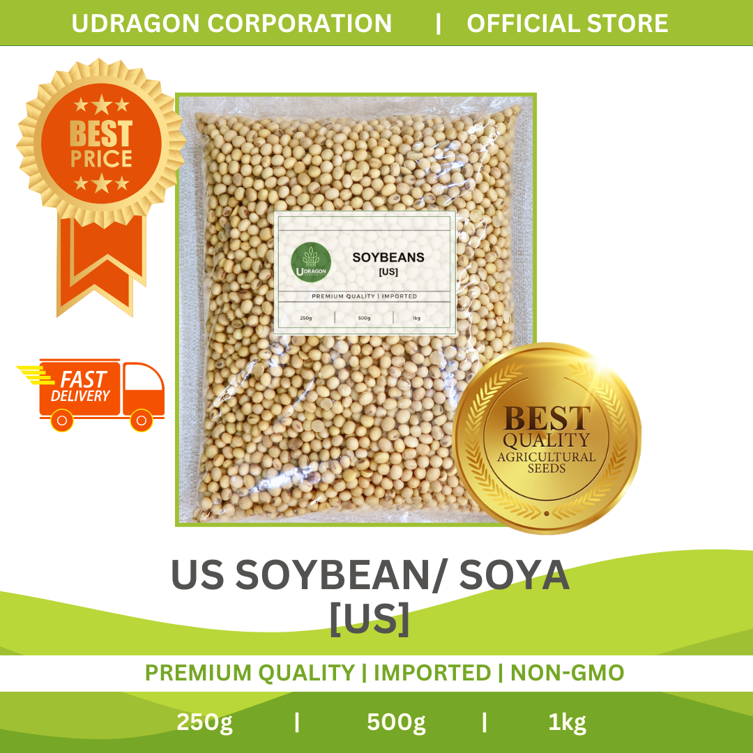 Premium US Soybeans/ US Soya - 250g, 500g, 1kg