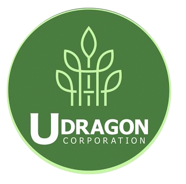 Udragon Corporation