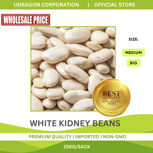 [WHOLESALE] White Kidney Beans- 1 SACK/25KGS